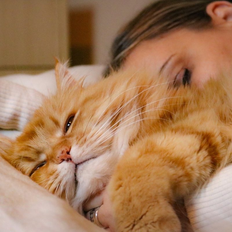 a-ginger-cat-and-a-woman-sleeping-2022-04-09-20-30-57-utc-min.jpg
